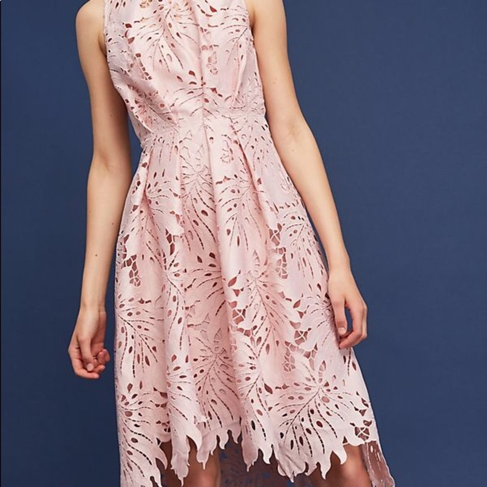 NWT Eva Franco Anthropologie pink dress